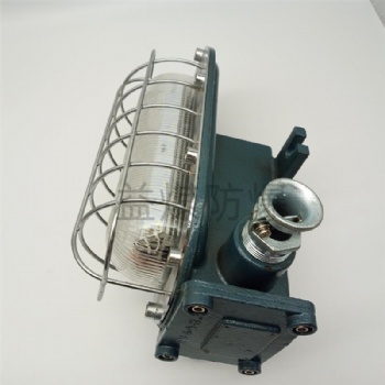 DGC24/127L 礦用支架燈 開啟方便簡單快捷壽命長體積小