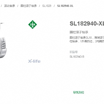 代理德國INA軸承SL182940-B-XL