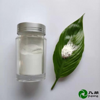 九朋抗靜電粉導電材料AZO30nm氧化鋅粉末CY-J30L