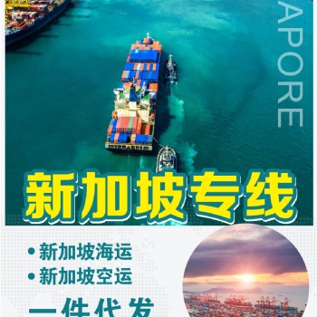 貨物中國出口到新加坡海運物流