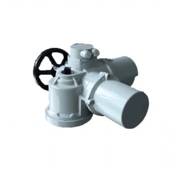智能調(diào)節(jié)防爆電動(dòng)裝置 Z10-24W各類智能型非侵入式執(zhí)行器