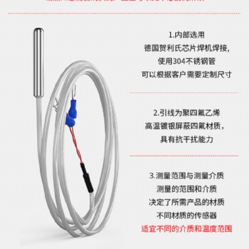 華辰康儀器儀表-探針式溫度傳感器 PT100熱電阻 E型針式感溫線 熱電偶
