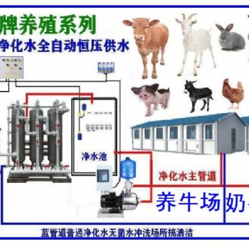 養殖機械井水過濾器河水凈水機原水處理設備養牛場奶牛場機械化奶牛場飲水設備