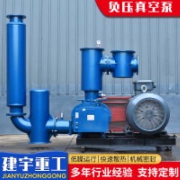 建宇重工負壓真空泵小型精密大吸力