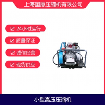 45兆帕壓力消防潛水用空氣呼吸器充氣泵國廈生產(chǎn)廠家