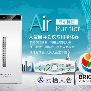 室內(nèi)空氣凈化器 車載空氣凈化器 凈化甲醛 凈化霧霾 二手煙