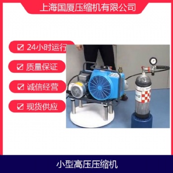 330公斤船用小型便攜式呼吸器充氣泵
