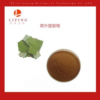 供應荷葉萃取物荷葉堿2％-98％ 荷葉黃酮10％