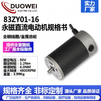 83ZY01-16永磁直流電動機