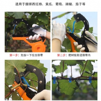 綁枝機廠家，葡萄綁枝器的常見問題