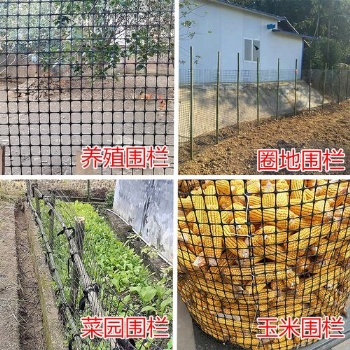 大量批發養殖網玉米網