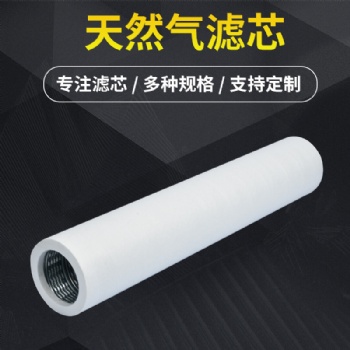 EST-50R32-1000原料氣過(guò)濾分離器濾芯