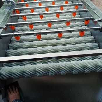 電動毛輥生姜脫皮清冼機(jī) 土豆清洗去皮機(jī)