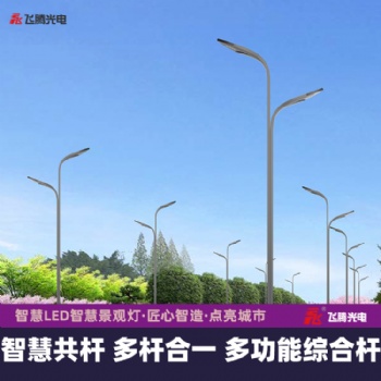 智慧路燈,多桿合一綜合桿