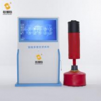 智能多維擊打吶喊宣泄系統XZX-DW-JN