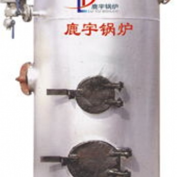 鹿宇 LSG立式燃煤蒸汽鍋爐點