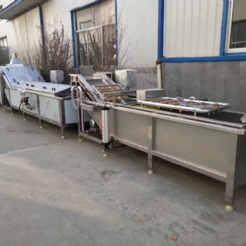 果蔬清洗殺青機、毛豆漂燙鹵煮殺青機