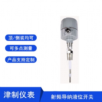 頂裝射頻導納料位計 不銹鋼襯四氟材質