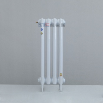 維銘斯 鑄鐵散熱器 橢圓柱750 SC(WS)TTYZ2-6-8(10) 家用暖氣片廠家