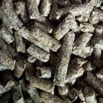 報關行代理巴基斯坦甜菜粕**