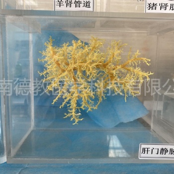 河南德教生物標本切片廠 病理標本骨骼標本鑄型標本塑化標本植物病害標本臘葉標本植物浸制標本