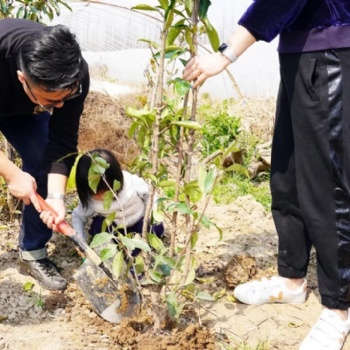 上海春季團(tuán)建一日游推薦長(zhǎng)興島植樹摘草莓騎行游玩活動(dòng)