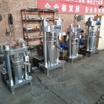 小型芝麻榨油機 4kg立式植物油提取壓榨設備 一次榨凈大壓力