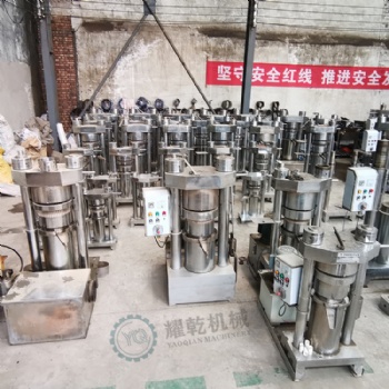 杏仁榨油機 成套核桃壓榨油提煉設備 65兆帕冷榨工藝榨油機