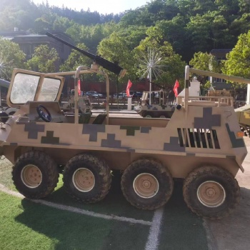 一比一仿真軍事模型 大型坦克飛機(jī)模型制作工廠