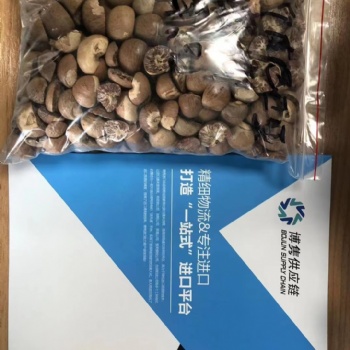 藥用檳榔進口報關公司