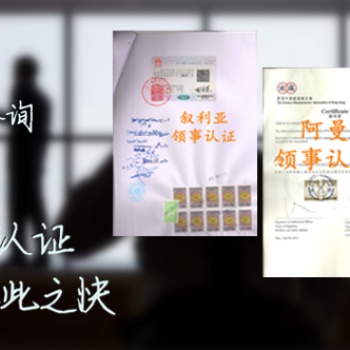 阿根廷領事報關單簽章