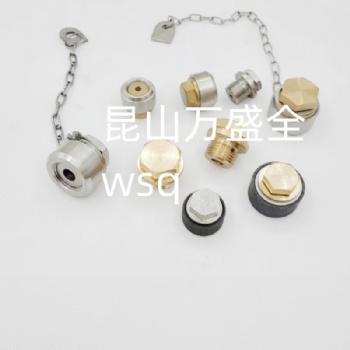 帶鏈條船用放泄螺塞CBT23-99
