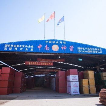 購買 建筑竹膠板 強度高 韌性好 20年專業(yè)生產(chǎn)