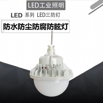 防爆LED免維護節能燈防水防塵防腐FGV6215-FGQ1215功率30w50w護欄