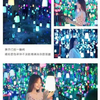 光影展/呼吸森林/星空展/鏡花宮
