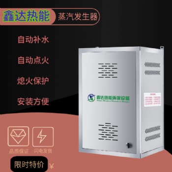 蒸汽發生器燃氣煮漿釀酒饅頭