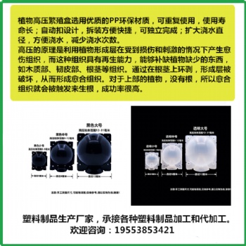 植物生根器扦插嫁接的好幫手