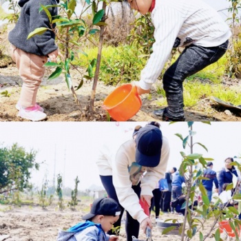 上海桔園農(nóng)莊郊游踏青項(xiàng)目推薦騎行植樹戶外燒烤