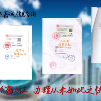 股東會議布基納法索領事簽章