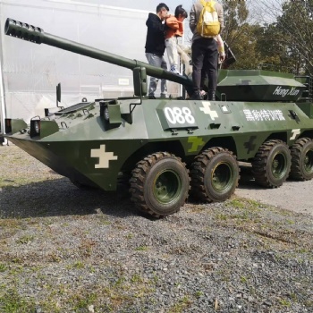 軍事模型廠家橡膠制品制造；游樂設備制造；旅游產業開發；花燈制作、銷售；會議會展服務。