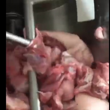 科邁爾代理進口絞肉機設備