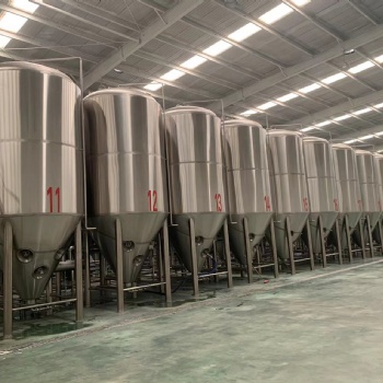 建一個年產10000噸的精釀**工廠需要花費多少資金