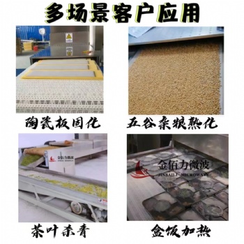 陶瓷胚料微波加熱固化干燥設(shè)備?