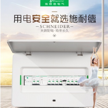 青島雙層門一鍵啟動施耐德配電箱