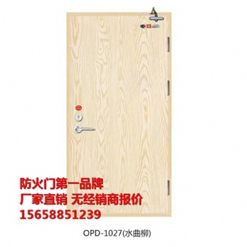 南京木質(zhì)防火門現(xiàn)貨價格