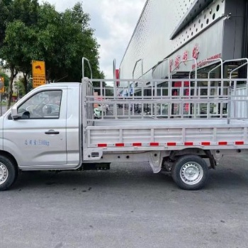 瑞馳EC31L新能源貨車出售