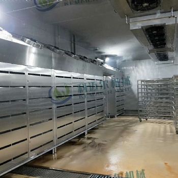 牛羊肉類解凍水產品解凍雞鴨解凍 低溫高濕解凍機