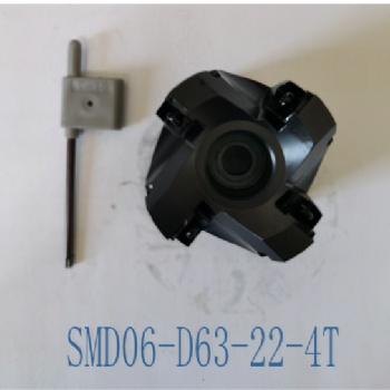 供應(yīng)國產(chǎn)刀盤SMD06-D63-22-4T