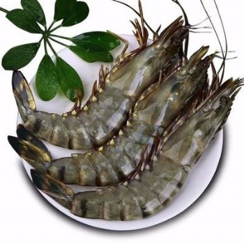 越南冷凍海鮮魚進口**報關需要的資料和流程
