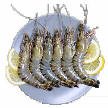 進(jìn)口凍魚凍蝦進(jìn)口**流程及許可證要求